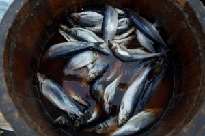 25 странных и необычных блюд из древних времён