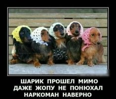 Напомнил...)))
