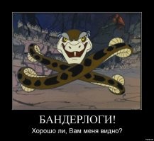 В Австралии питон терроризирует туристов на популярном пешеходном маршруте
