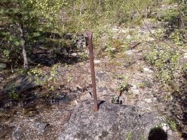Гулял в лесу, недалеко от своего посёлка.
Кто вытащит - станет прорабом.