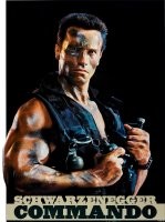 Иностранный

Отечественный