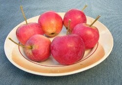 Что Вам не спится? Я же сказал, похоже, что ранетка.