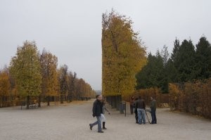 Это тоже не склееное фото… Вена. Год 2011. Осень.