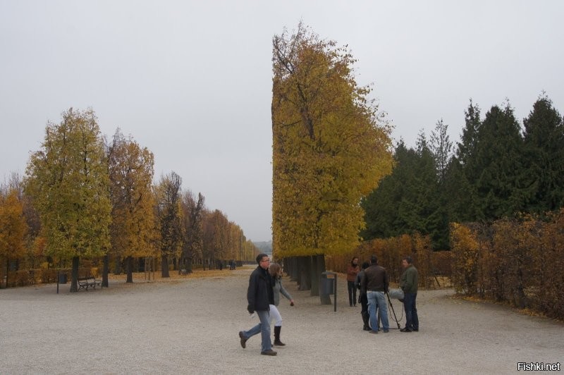 Это тоже не склееное фото… Вена. Год 2011. Осень.