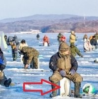 Вероятно вот это.... Надо  обладать при этом буйной фантазией.