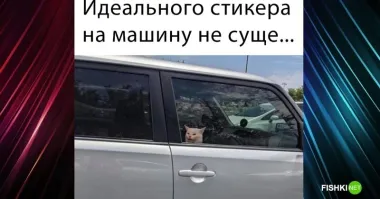 Я хочу посмотреть, как он опускает стекло