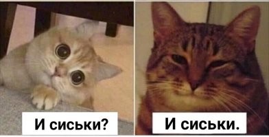 Не ищите здесь смысл. Здесь в основном маразм