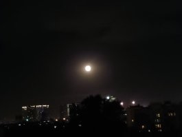 Блеквью. 8800 про.  :)