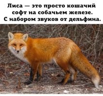 Скрины из соцсетей&nbsp;