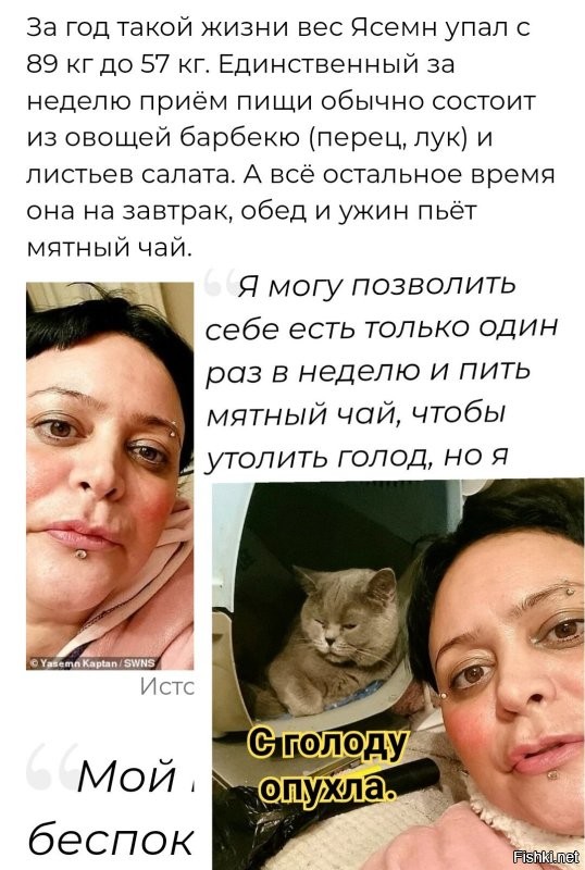 Жительница Лондона голодает, чтобы прокормить своих кошек