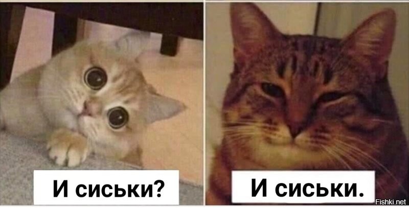 Не ищите здесь смысл. Здесь в основном маразм