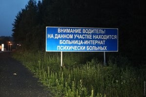 Жительница Лондона голодает, чтобы прокормить своих кошек