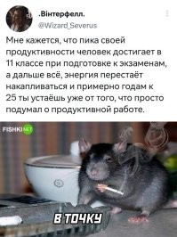 Расскажите это ему