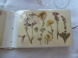 Помню на лето было задание по гербариям (сушил в книгах, иногда под утюгом). Было занимательно.