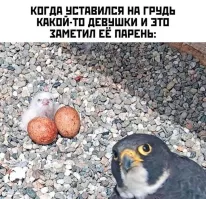 И?
Ну пусть дома ее держит, значит.
Или мешок на нее наденет