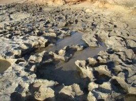 № 4 – теми камнями можно себе всё порвать нахрен. 
Был в подобном месте – сразу в голову пришло, что не хотел бы тут упасть.
А если ещё и волной протащит...