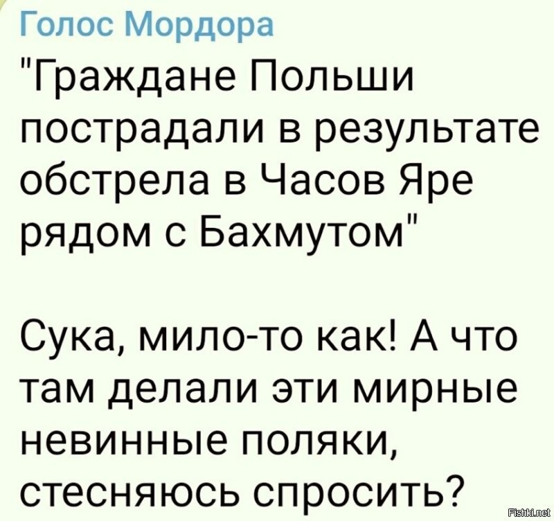 Если поляки опять заблудились и оказались в бахмутской мясорубке то вопросы к Ивану Сусанину