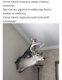 Фотоприколы и&nbsp;прикольные картинки