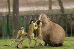 Когда пришел в обучающую зубную клинику