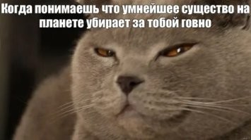 На общую тему&nbsp;