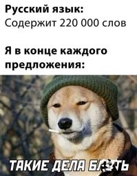Фотоприколы и&nbsp;прикольные картинки