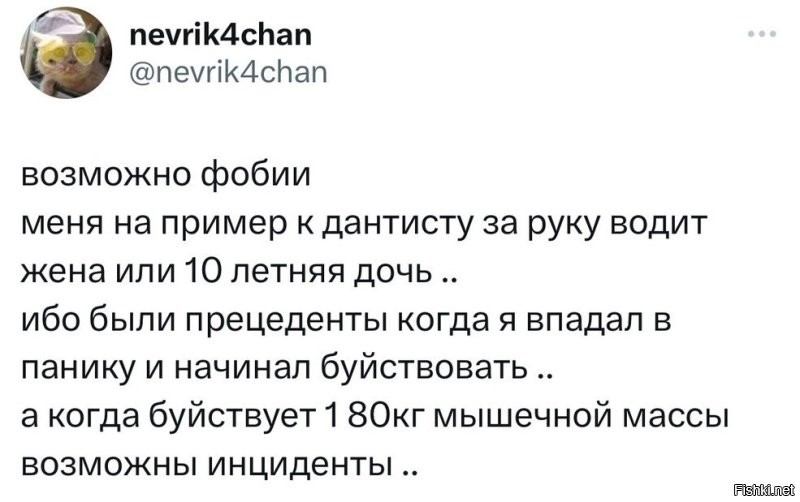 Сыночек 35+ лет пришёл с мамой на приём: невыдуманные истории от медиков про "бытовых инвалидов"