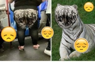 История предмета гардероба, который отобрали у животного и отдали мужчинам, а потом его забрали себе женщины