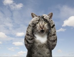 Прям на голову, теперь шишка будет.