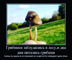На общую тему&nbsp;