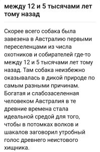 Ну... Как бы да.
