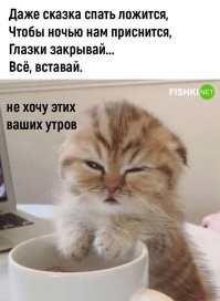 Реально сегодня утро тяжело было вставать, лег вчера 21-00 не поужинав, встал в 6-00, тренировка, а потом бассейн в качестве заминки. Позавтракал только в 10-00 кошмар...