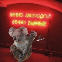 Продолжаем барражировать соцсети