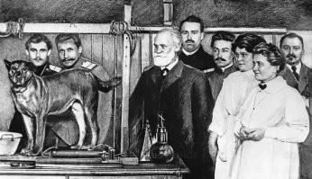 "десерт Павлова" звучит подозрительно...хотя кто знает этих китайцев...