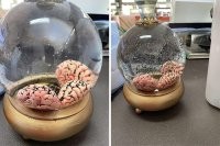 Визуализация выражения "пудрить мозги".