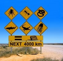 Это "сладкое" слово Камчатка-нет Австралия)))