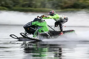 вот ещё одна - удивительная божья тварь, гоняющая по поверхности водоёмов