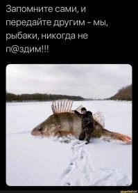 Продолжаем барражировать соцсети