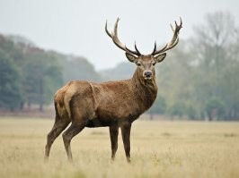 Скрины из соцсетей&nbsp;