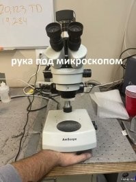 конечно не все