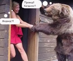 Мемные расследования: история появления Медведя в кустах