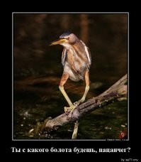 Комментарии и картинки из соцсетей. Свежак за 22 марта