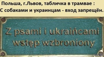 лучше польский с пиндоским учи..)