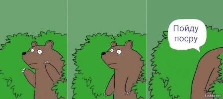 Мемные расследования: история появления Медведя в кустах