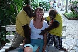 В Индии обезьяна схватила щенка и убежала по крышам