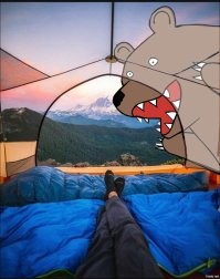 Мемные расследования: история появления Медведя в кустах