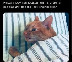 Фотоприколы и&nbsp;прикольные картинки