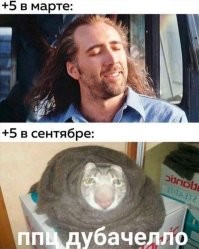 Фотоприколы и&nbsp;прикольные картинки