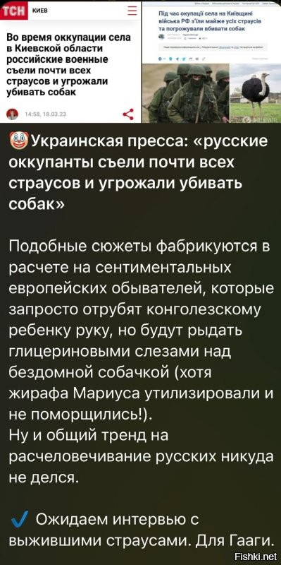 О политике и не только