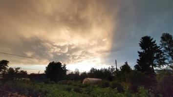 Ага, тоже заснял их летом )