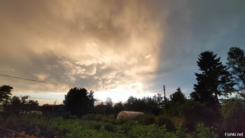 Ага, тоже заснял их летом )